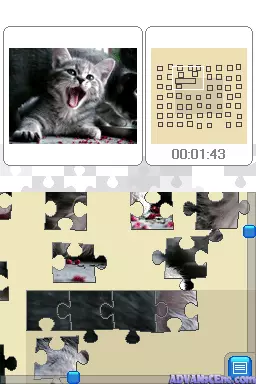 Image n° 3 - screenshots : Puzzle - Baby Animals